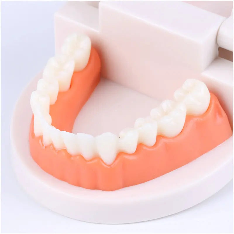  https://tomka-toys.com/products/montessori-educational-toys-for-children-early-learning-kids-intelligence-brushing-tooth-teaching-aids-simulated-practical-lifet